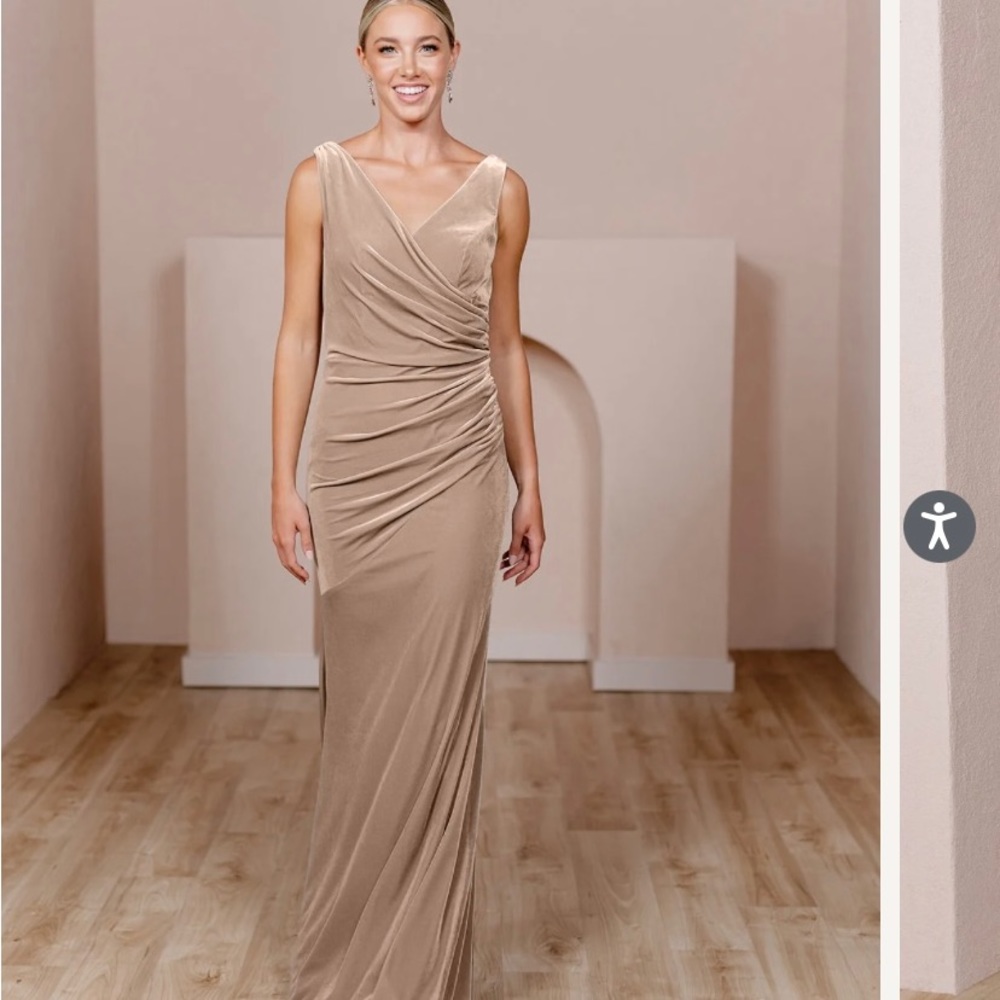Revelry Dawson Champagne Velvet Dress